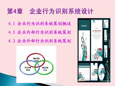4-1企業(yè)行為識(shí)別系統(tǒng)策劃